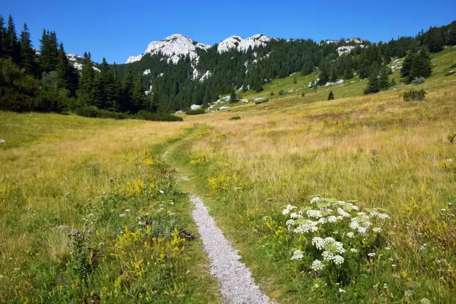 Northern Velebit Botanical Garden