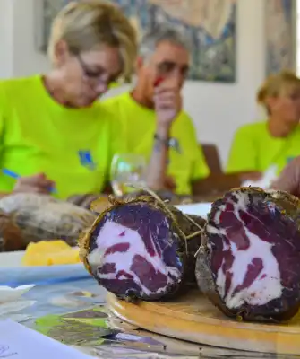 Šokol Festival