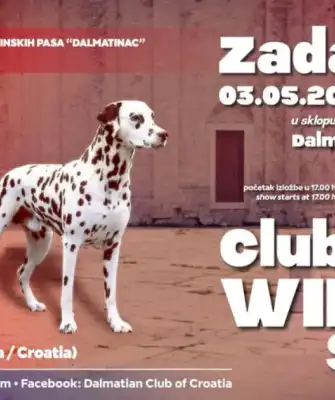 Dalmatian Club Winner Show