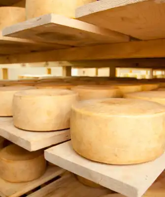 Cheese Festival